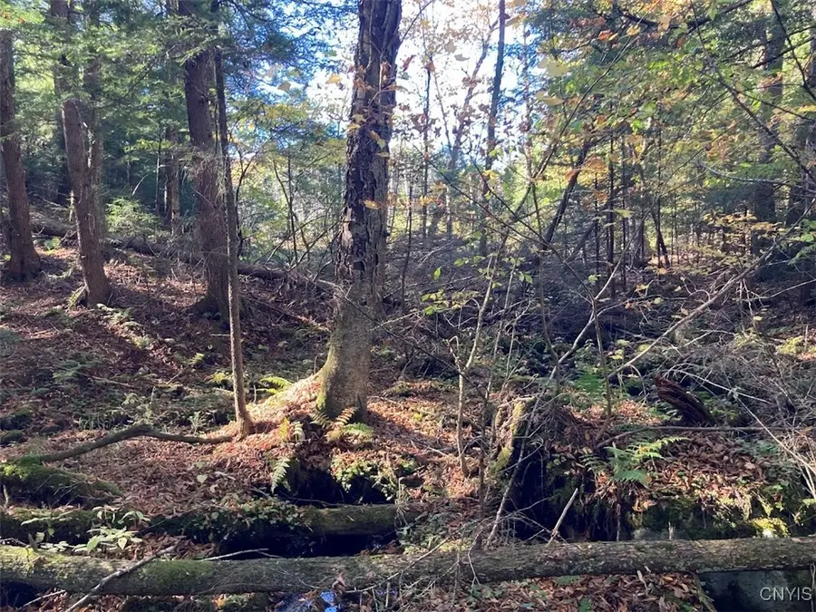 Emmonsburg Road, Salisbury Center, NY 13454 - Image #3