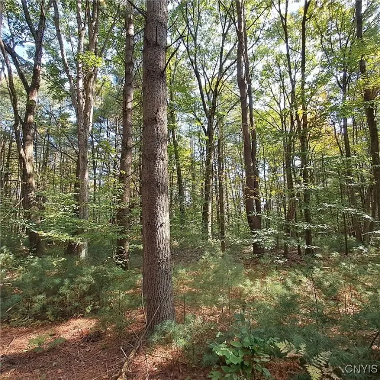 0 Stone Barn Road, Cleveland, NY 13042 - Image #2