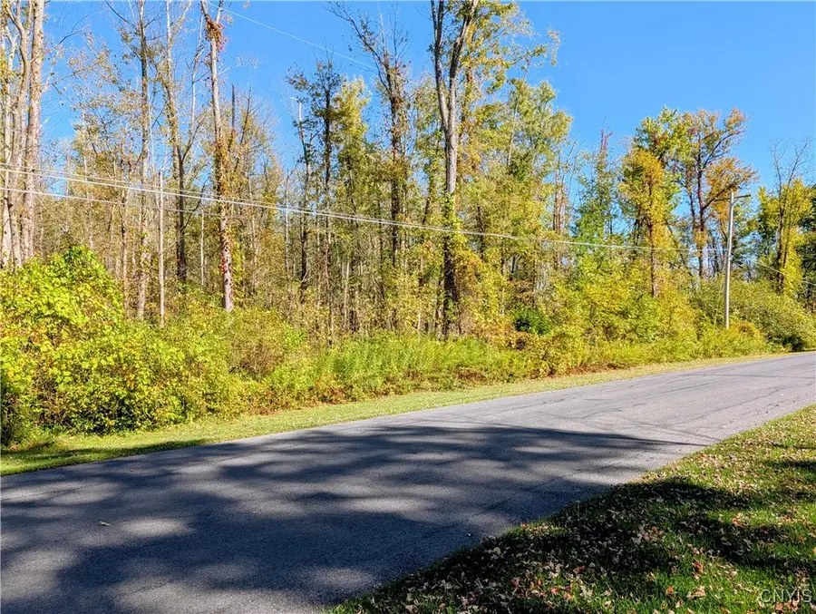 9553 Horseshoe Island, Clay, NY 13041 - Image #3