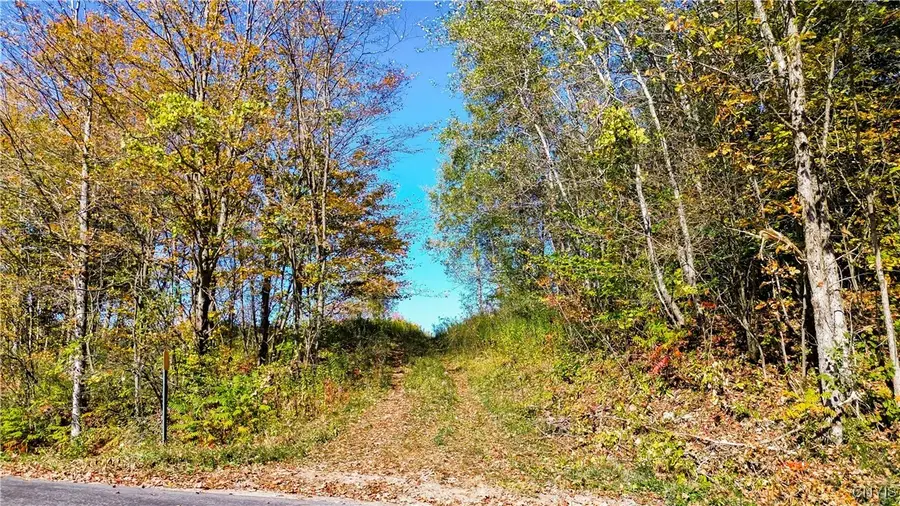 672 Fishing Rock Road, Newport, NY 13416 - Image #3