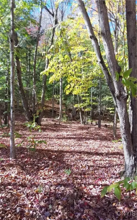 Silverstone Road, Remsen, NY 13438 - Image #3