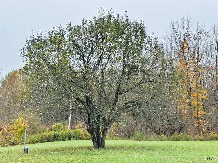 5373 Carpenter Road, Turin, NY 13473 - Image #3