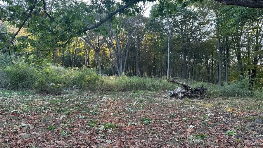 00 Nob Road, Utica, NY 13501 - Image #3