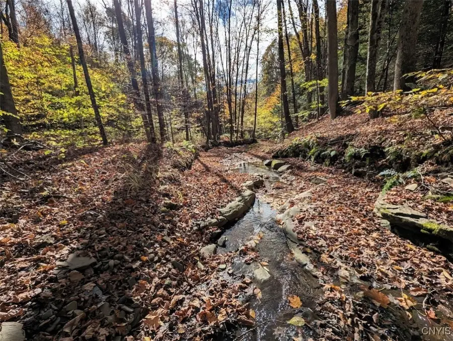 Akins Road N, Cohocton, NY 14826 - Image #2