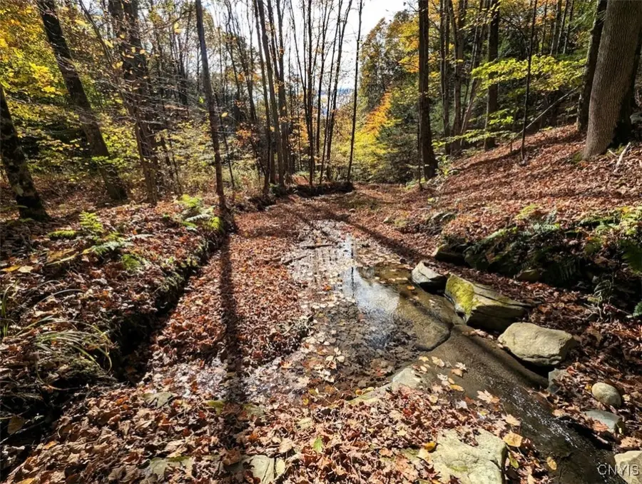 Akins Road N, Cohocton, NY 14826 - Image #3