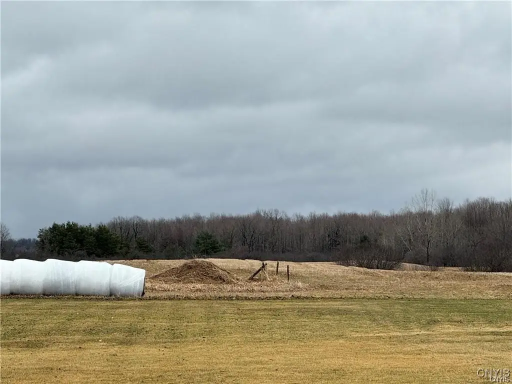 24972 Plank Road, Calcium, NY 13616 - Image #1
