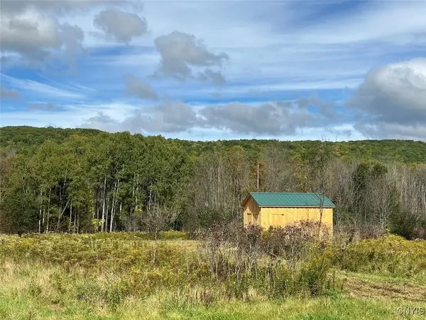 00 County Road 15b, Canaseraga, NY 14822