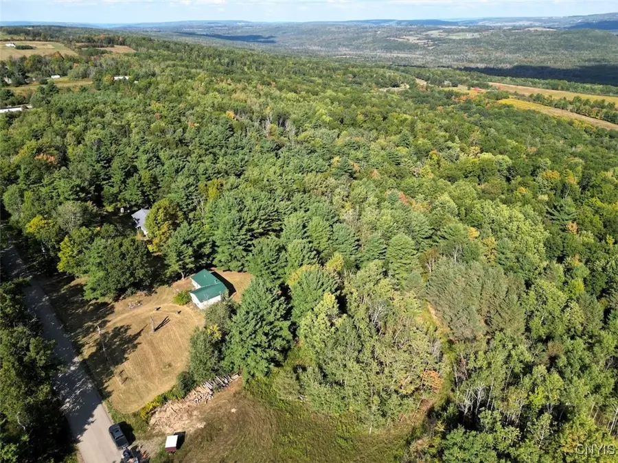 7250 Chrisler Road, Savona, NY 14879 - Image #3