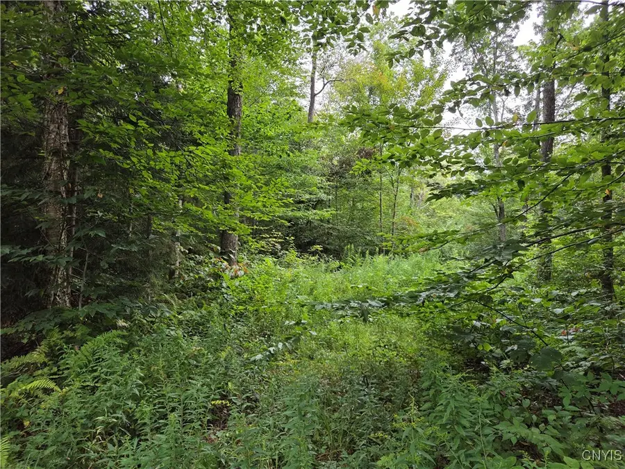 000 William Ernst Road, Lewis, NY 12950 - Image #2