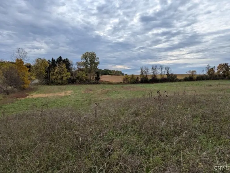 Chestnut Ridge Road, Auburn, NY 13021 - Image #2