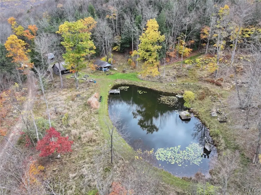 936 California Hollow Road, Bolivar, NY 14715 - Image #1