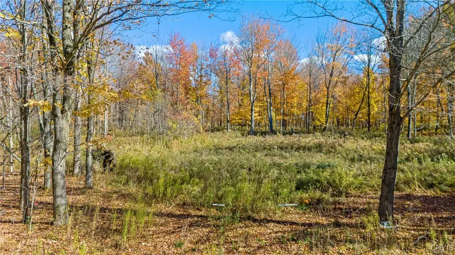 32 Wigwam Drive, Pulaski, NY 13142 - Image #2