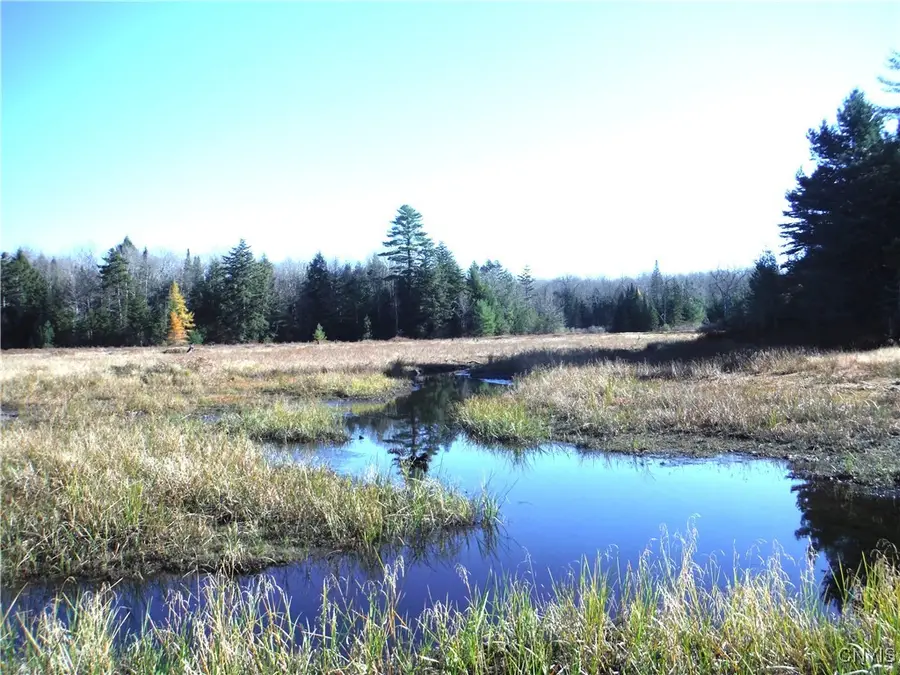 00X Buck Lake Road, Forestport, NY 13338 - Image #3