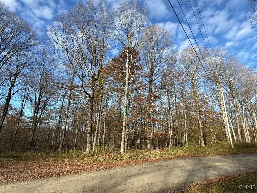 00 Magpie Lane, Truxton, NY 13158 - Image #3