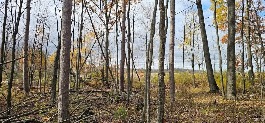 417 Stocks Road, Owego, NY 13827 - Image #3