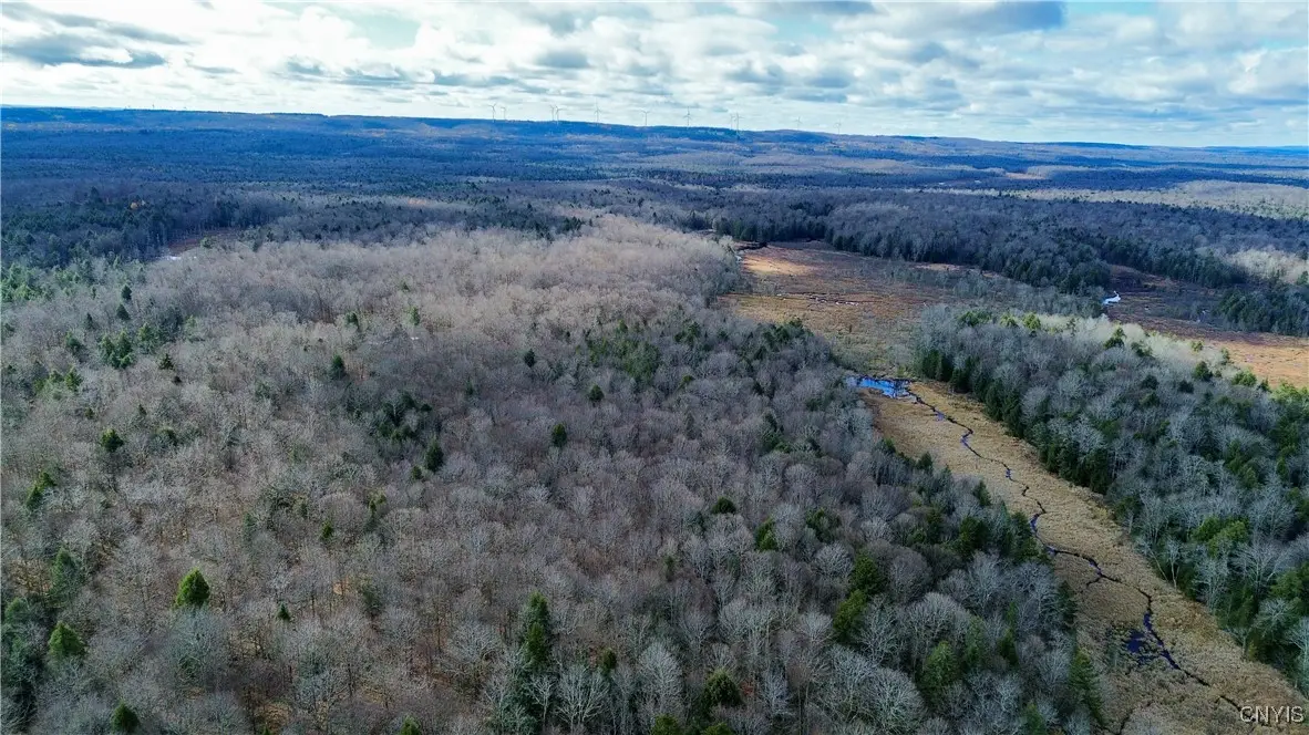 Lot 3 Jerseyfield Road, Little Falls, NY 13365 - Image #1