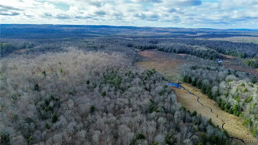 Lot 3 Jerseyfield Road, Little Falls, NY 13365 - Image #3