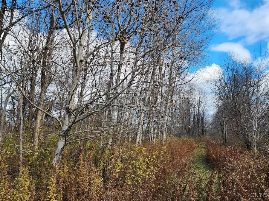 Rt-294, Boonville, NY 13309 - Image #2