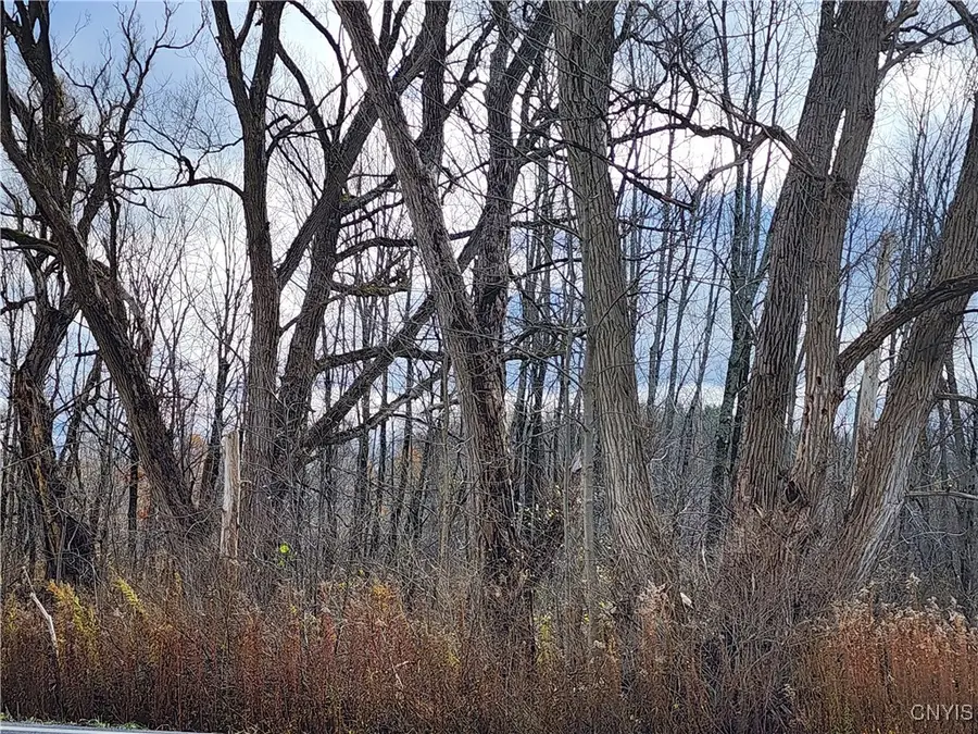 Rt-294, Boonville, NY 13309 - Image #3