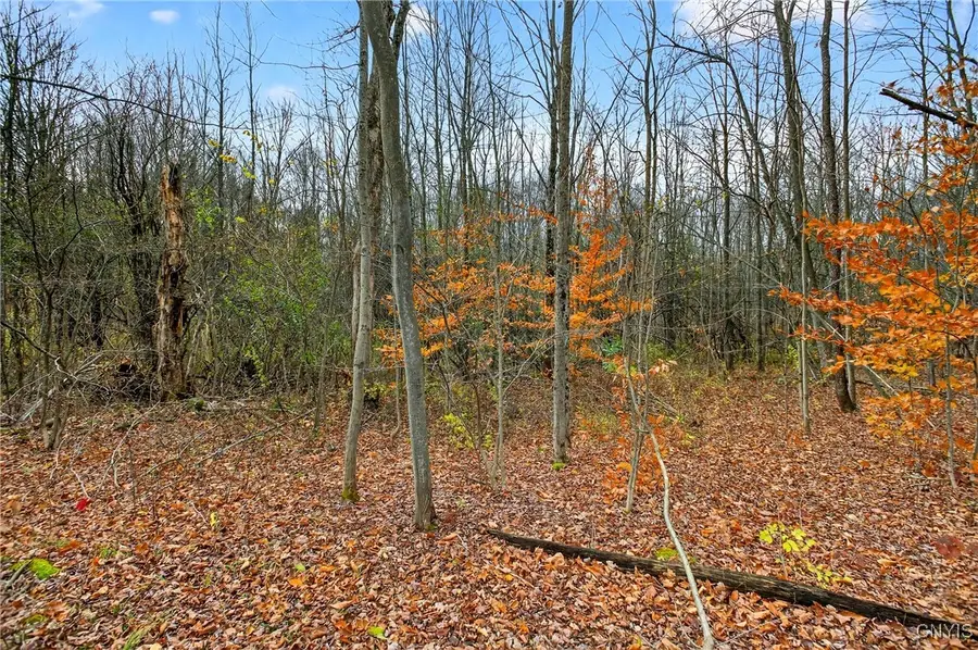 3865 Co Rt 4, Oswego, NY 13126 - Image #3