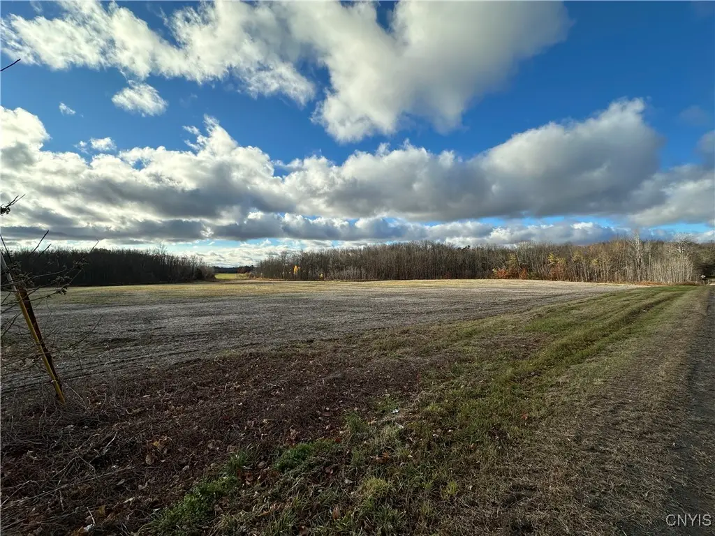 734 County Route 45, Central Square, NY 13036 - Image #1