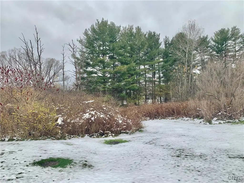 Clinton Road, New Hartford, NY 13413 - Image #1