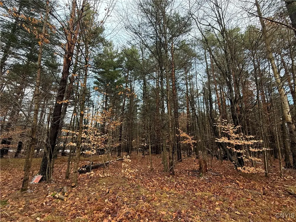 5098 Rugby Road, Brantingham, NY 13312 - Image #1