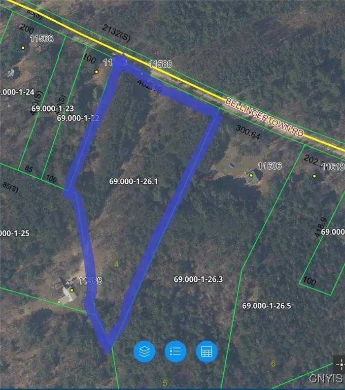 Bellingertown Road, Forestport, NY 13338 - Image #2