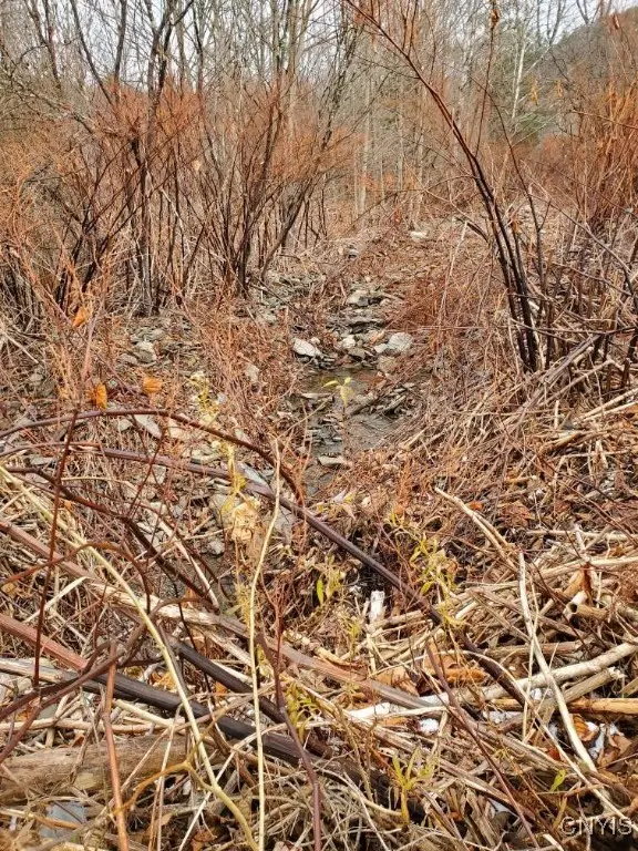 7 Murphy Lane, Newark Valley Town, NY 13811 - Image #2