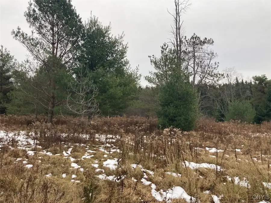 Rt 8, Cold Brook, NY 13324 - Image #2