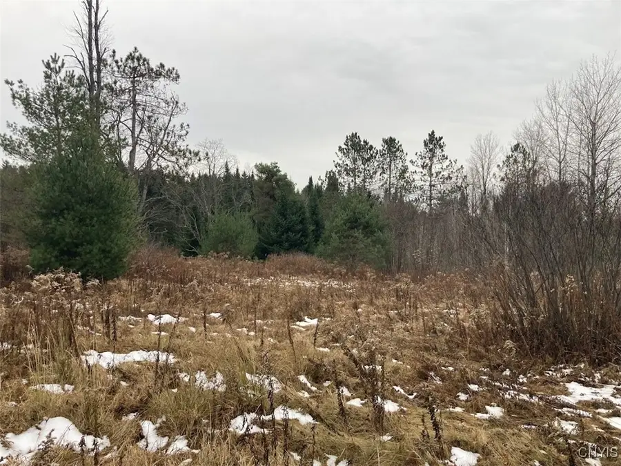 Rt 8, Cold Brook, NY 13324 - Image #3