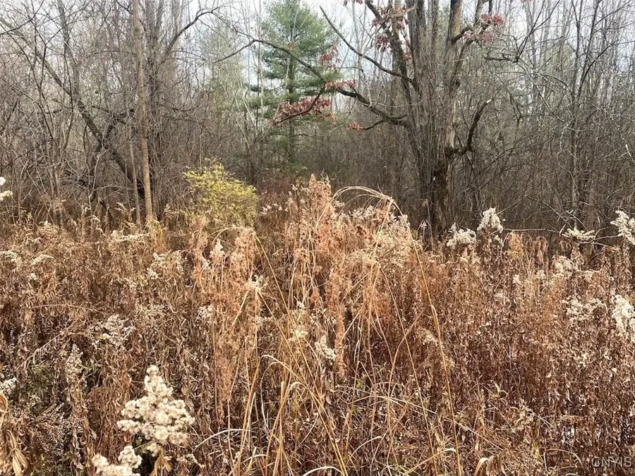 County Road 15, Hunt, NY 14846 - Image #3