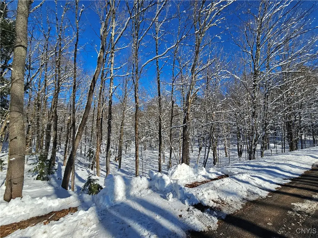 Long Pond Road, Croghan, NY 13327 - Image #1