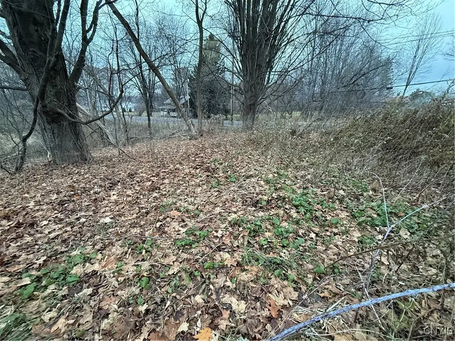 0 Harwood Drive, Lacona, NY 13083 - Image #3