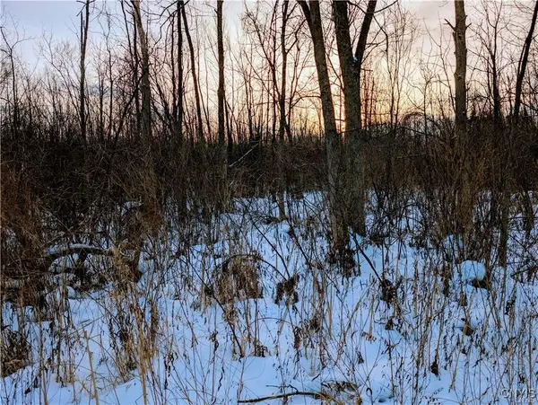 Manlius Road N, Kirkville, NY 13082