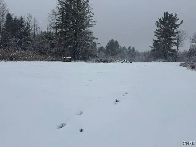 5389 Rome New London Road, Rome, NY 13440 - Image #3