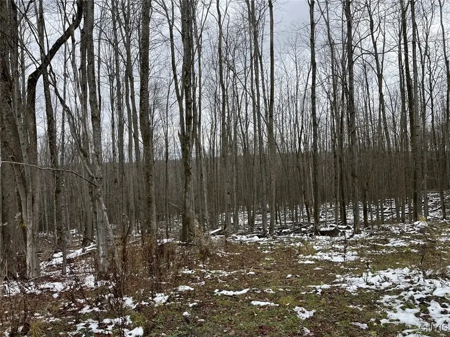 Jersey Hill Road, Canaseraga, NY 14822 - Image #2