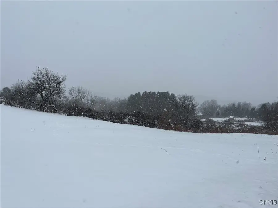 Lakeview Drive, Madison Town, NY 13346 - Image #2