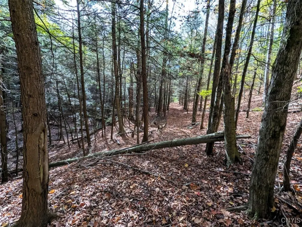 Akins Road, Cohocton, NY 14826 - Image #1