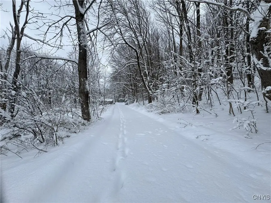 632 State Route 177, Copenhagen, NY 13626 - Image #2