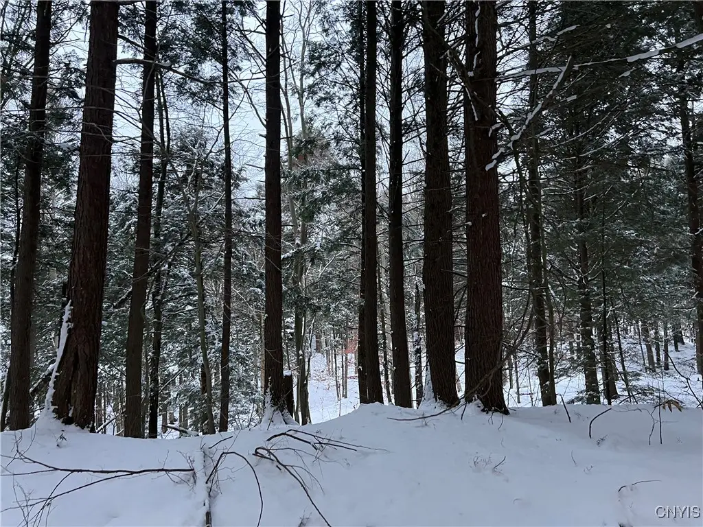 Center Street, Cleveland, NY 13042 - Image #1