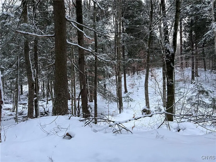 Center Street, Cleveland, NY 13042 - Image #2