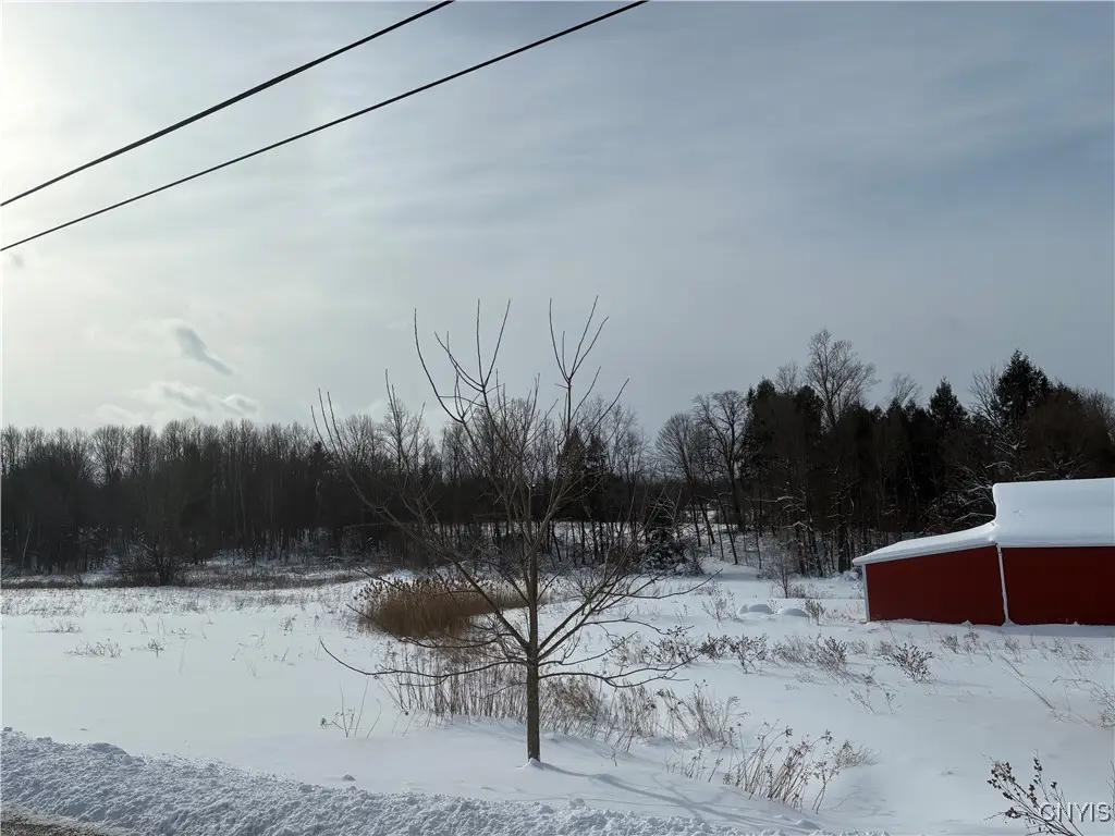 Perry Road, Baldwinsville, NY 13027 - Image #1