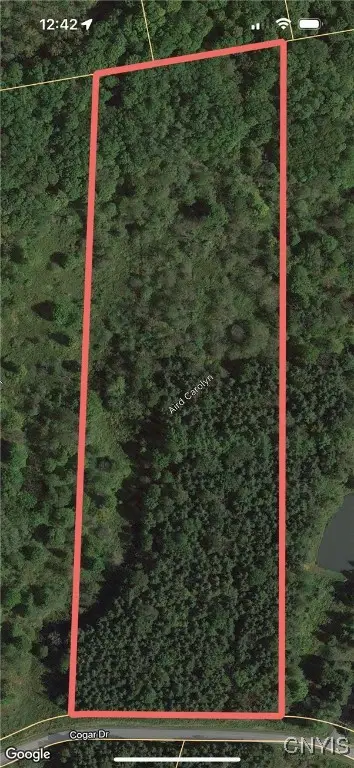 Cogar Drive, Schuyler, NY 13340