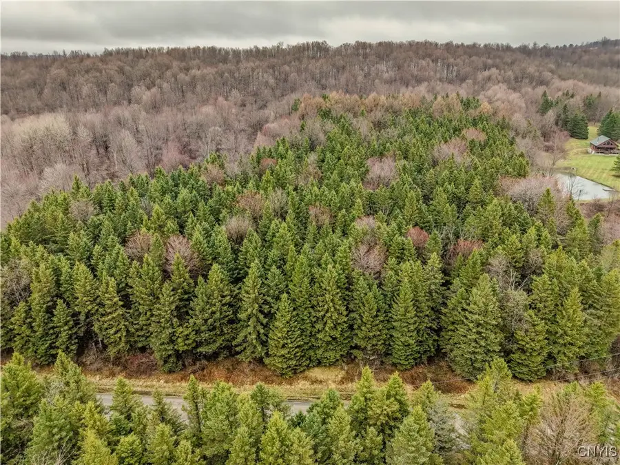 Cogar Drive, Schuyler, NY 13340 - Image #2