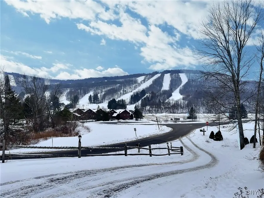 1969 Kypriotis Drive, Cortland, NY 13045 - Image #2