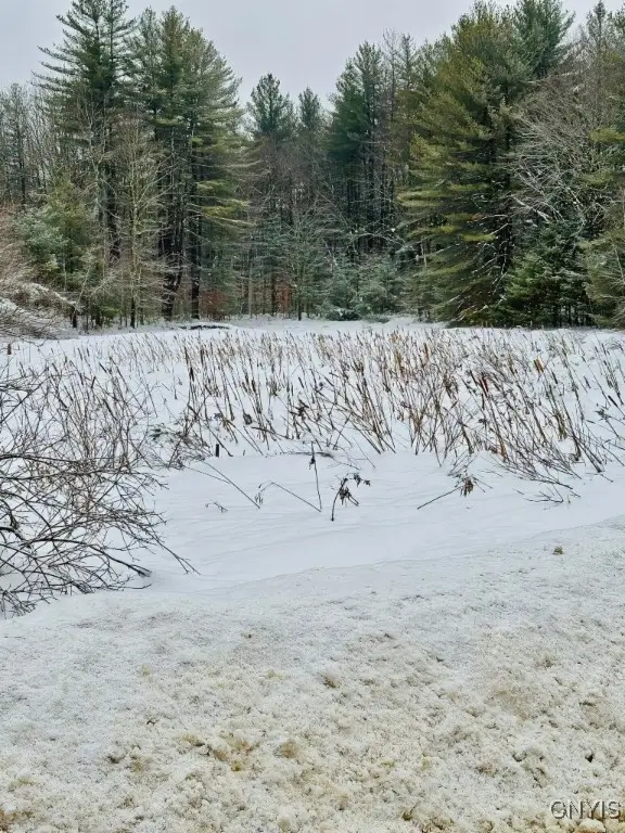 Penfield Road, Camden, NY 13316 - Image #1