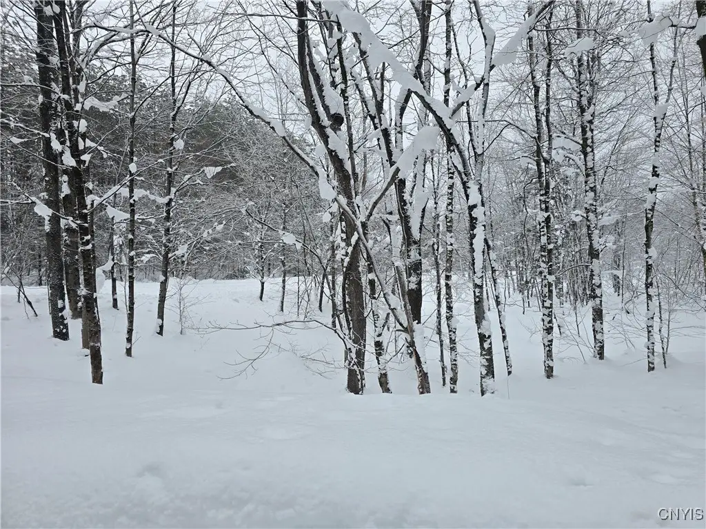 Swancott Mills Road, Taberg, NY 13471 - Image #1