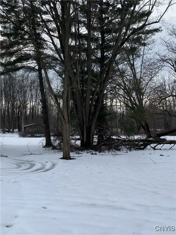 8331 Lakeshore Road, Cicero, NY 13039 - Image #1