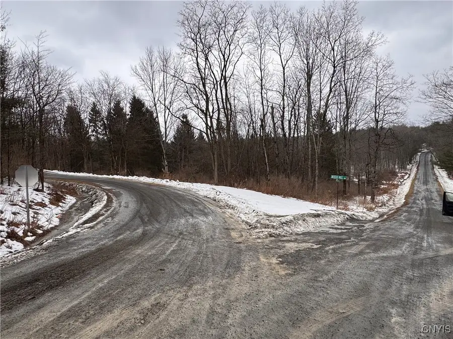 102 Beech Hill Road, Newfield, NY 14867 - Image #3